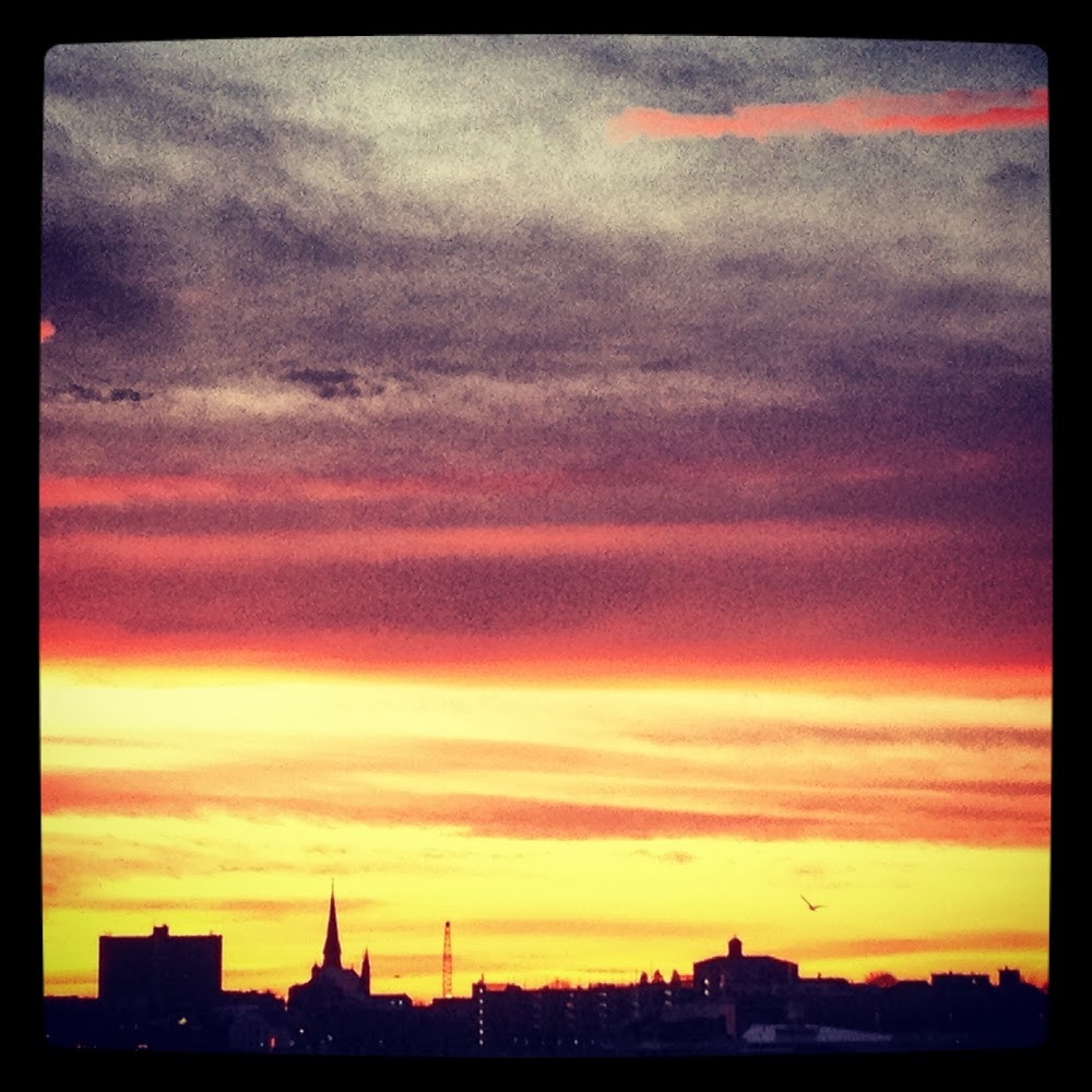 Meet your Posher, Lilly